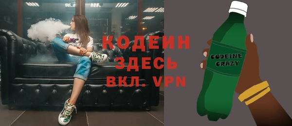 дурь Бородино
