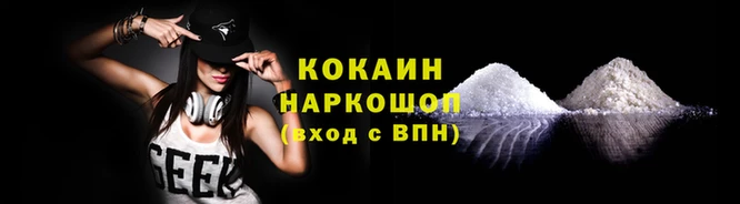 дурь Бородино