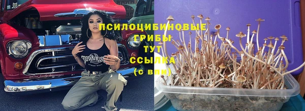 крисы Бугульма