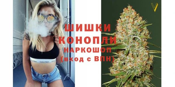 дурь Бородино