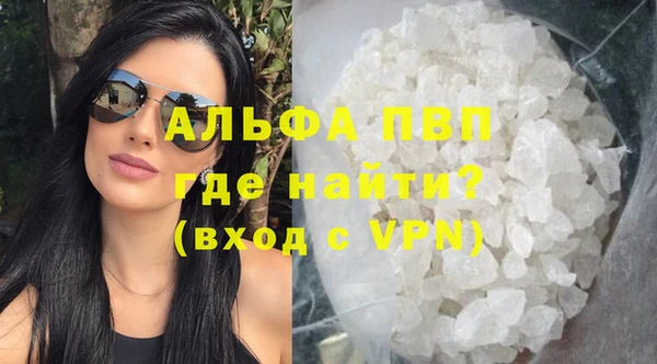 дурь Бородино