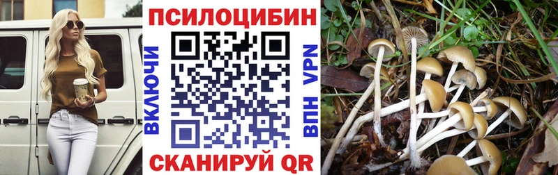 Псилоцибиновые грибы Psilocybine cubensis Ильский